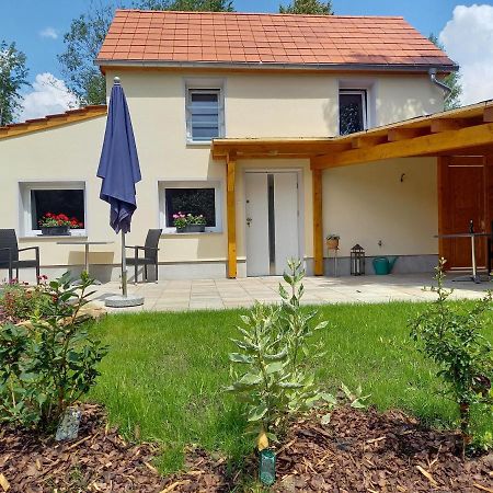 Ferienhaus Richtermuehle Зебниц Экстерьер фото